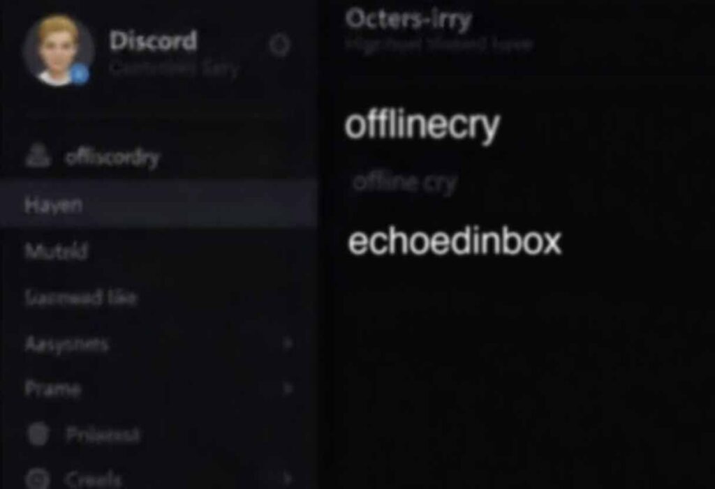 Discord server list with “offlinecry” and “echoedinbox.”
